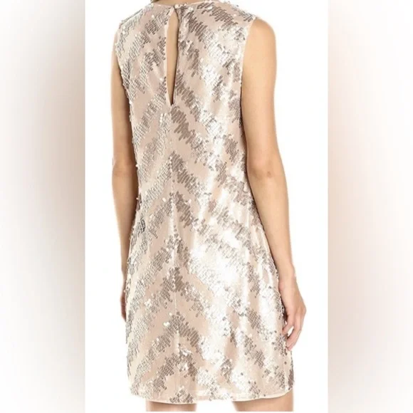 NWT Rachel Rachel Roy Elegant Beige sequin Sleeveless v neck Dress sis 14 - Picture 2 of 3